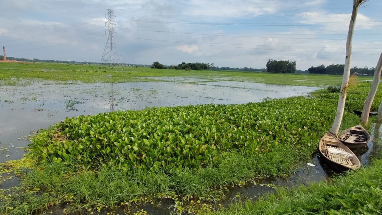 গজারিয়া চকের জলাবদ্ধতা নিরসনে ৫ কিলোমিটার ভানুমতী খাল পুনঃখনন